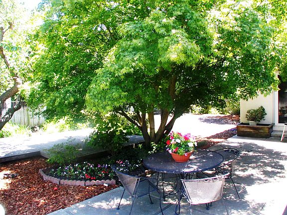 2nd image of 1414 Ormsby Dr