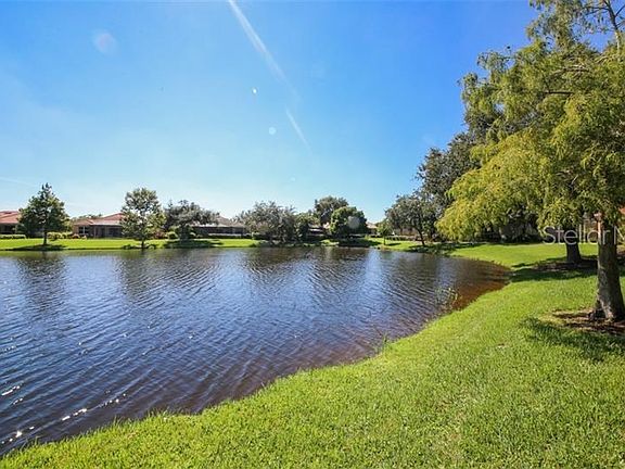 Cypress tress border the large lake.