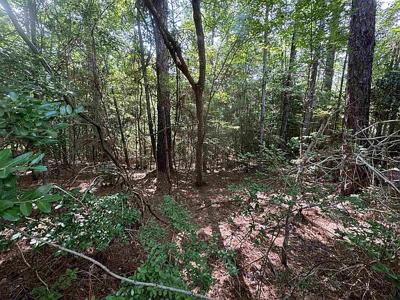 5th image of LOT 12 Victoria Dr
