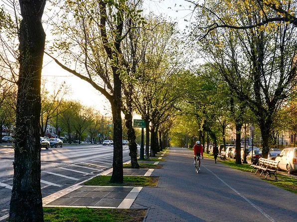 465 Eastern Parkway image 12 of 12