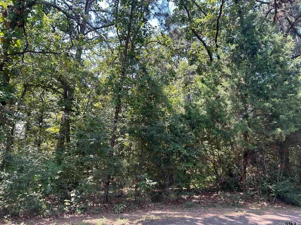 17583 Flaming Tree Way, Flint, TX 75762