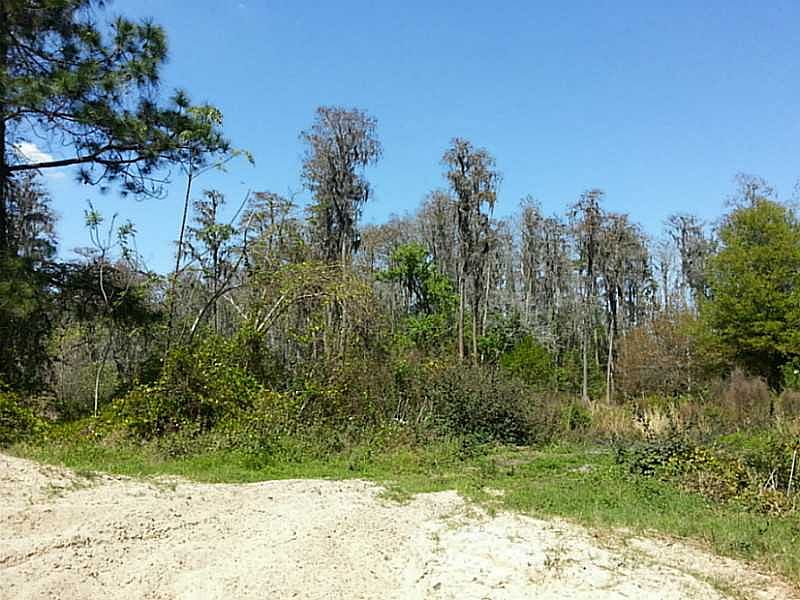 2nd image of 12911 Tarpon Springs Rd
