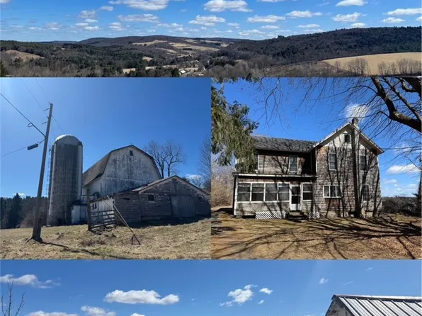 4929 Parker Hollow Rd, Unadilla, NY 13849