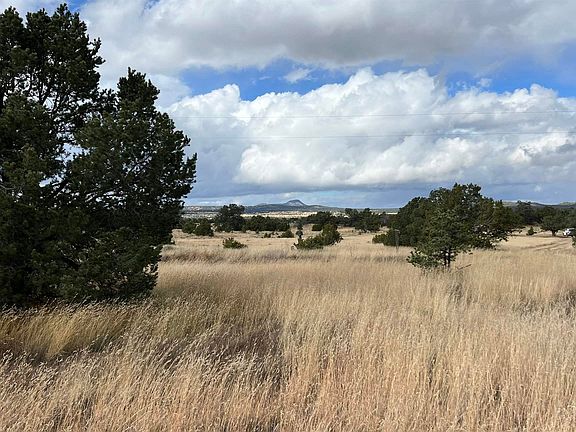4th image of Mountain View Ln