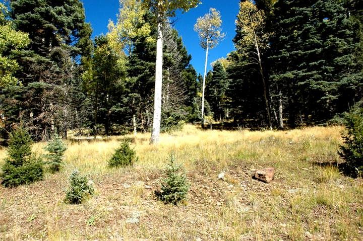 1st image of LOT 1476 Panorama Way