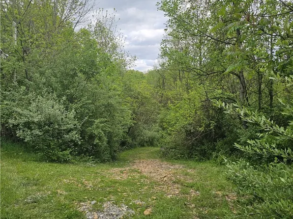 8280 Township Road 263, Bergholz, OH 43908