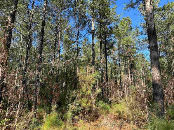 34 Acres - TBD Easler Hwy, Greeleyville, SC 29056
