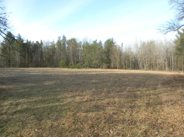 E Kinney Rd, Branch, MI 49402