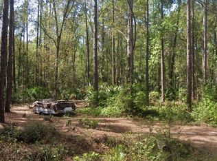 122 Janet Ave #25, Georgetown, FL 32139