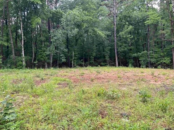 Brandon St, Troup, TX 75789