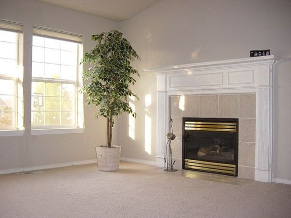 Gas fireplace in Living room.