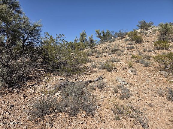 5th image of 12505 E COVE MESA Road #-