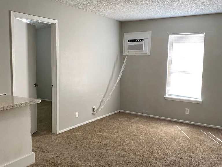 SOUTH PARK APARTMENTS — Photo 9