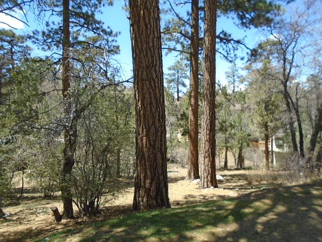 1st image of 866 Moreno Ln