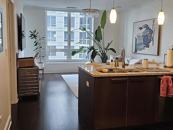5th image of 10 E Delaware Pl #20C