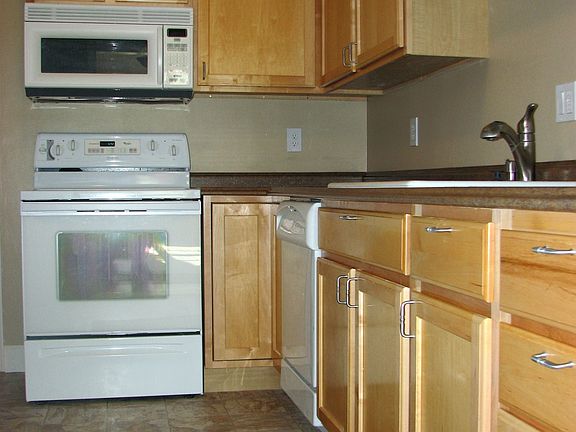 dishwasher, microwave, glass-top oven range, fridge, disposal