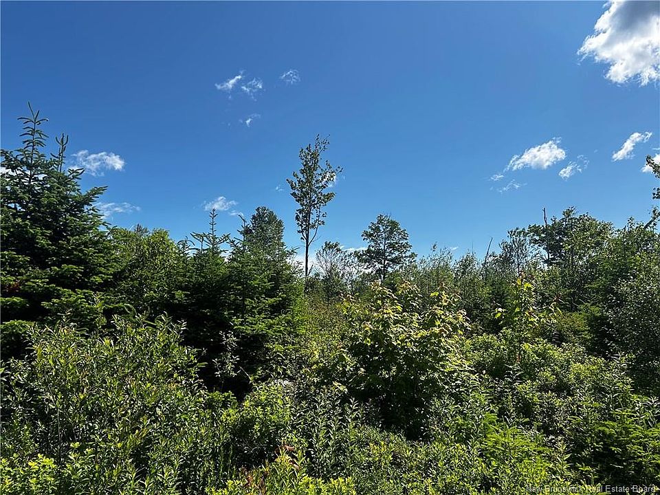 2nd image of Old Gardner Creek Rd