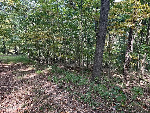 3rd image of LOT 8 Glade Pike
