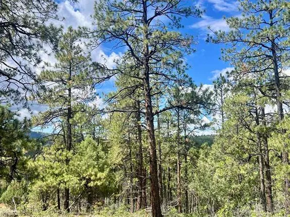 75 Rocky Ridge 2, Pagosa Springs, CO 81147
