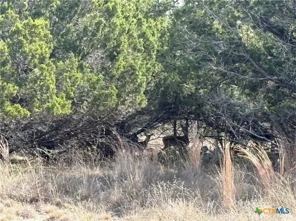 150 County Road 1030, Lampasas, TX 76550