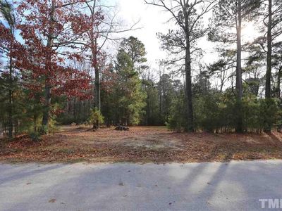 Camellia Dr, Camellia, NC, 27524