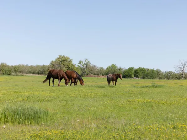 1346B Prairie Grove Rd, Valley View, TX 76272
