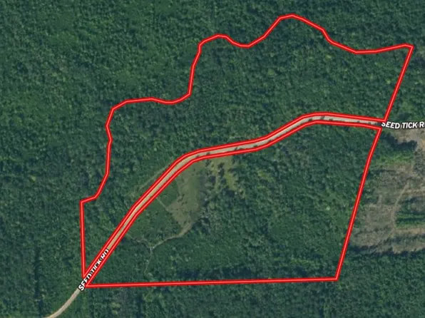 Seed Tick Rd, Pembroke, GA 31321