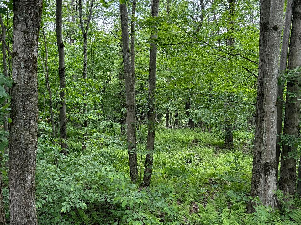 1st image of Beaver Hollow Rd