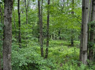 Beaver Hollow Rd, Lakewood, PA 18439