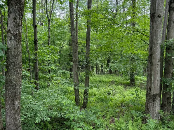 Beaver Hollow Rd, Lakewood, PA 18439