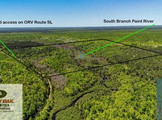 Vacant Land Iron Riv, Iron River, MI 49935