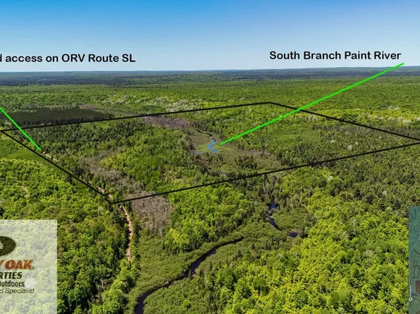 Vacant Land Iron Riv, Iron River, MI 49935