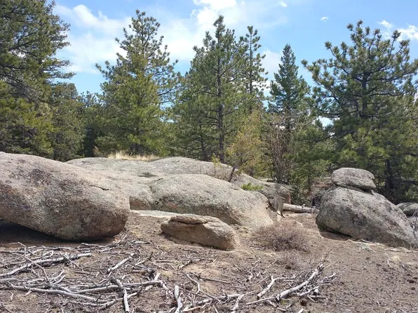 2928 Fox Acres Dr E, Red Feather Lakes, CO 80545
