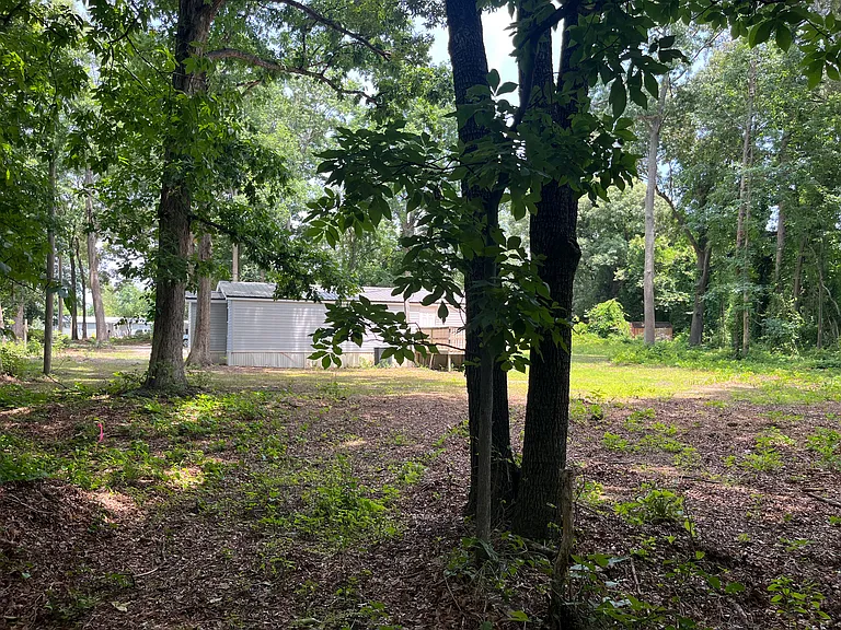 Back yard