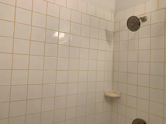 Rented by Brooklyn Properties | media 23