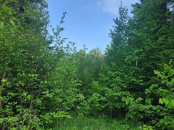 2nd image of Doland Rd #28ACRES