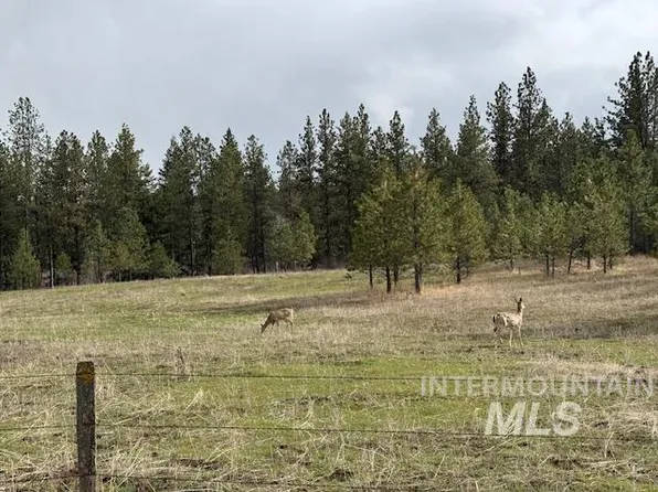 Anatone, Anatone, WA 99401