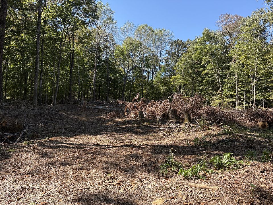 2nd image of 606 Town Branch Rd
