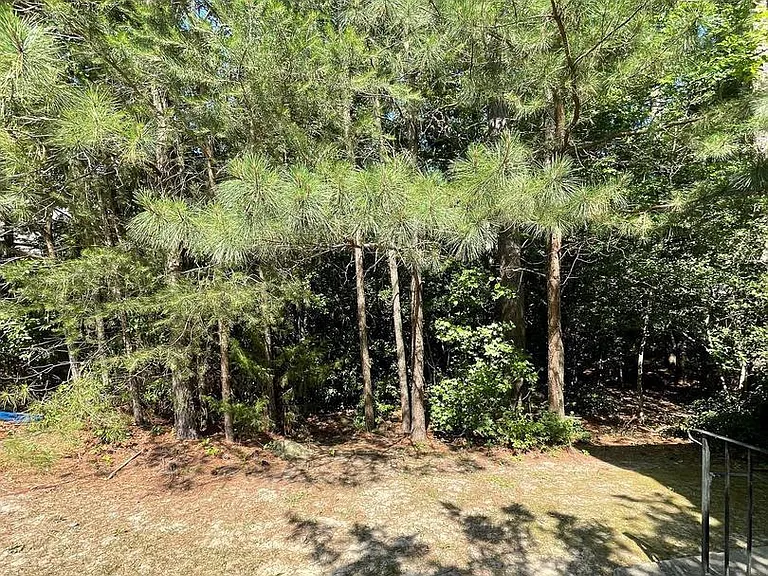 23435 Aster Way — Photo 35
