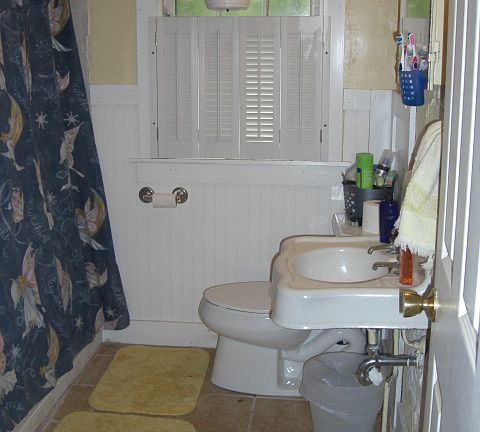5th image of 1227 W Ionia St