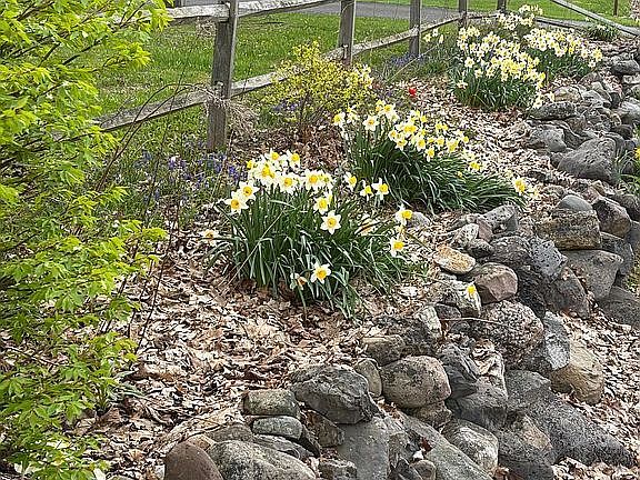 Street-side rock garden