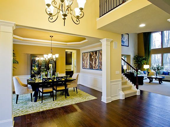 Model Representation