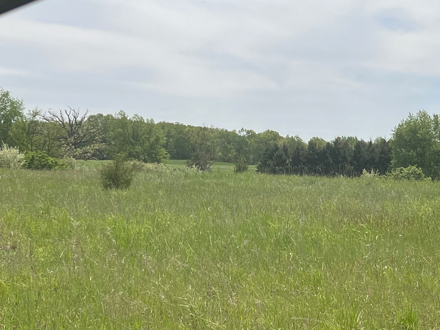 Aurelius Rd Country by Oak Ridge Homes in Mason MI Zillow