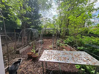 Rented by Friedman Mayer, LREB