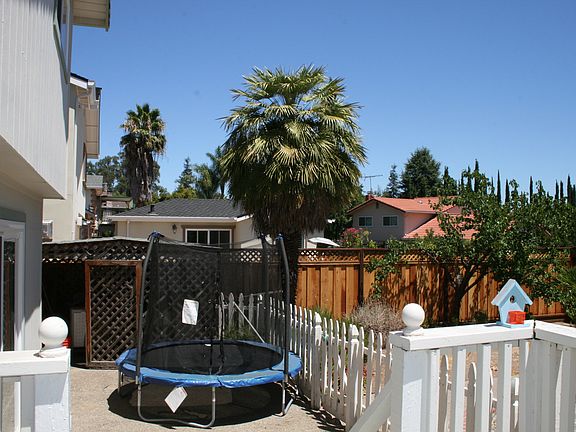 backyard_1