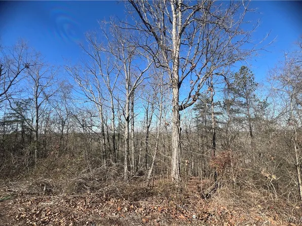 0 Dreamview Ter, Mc Calla, AL 35111