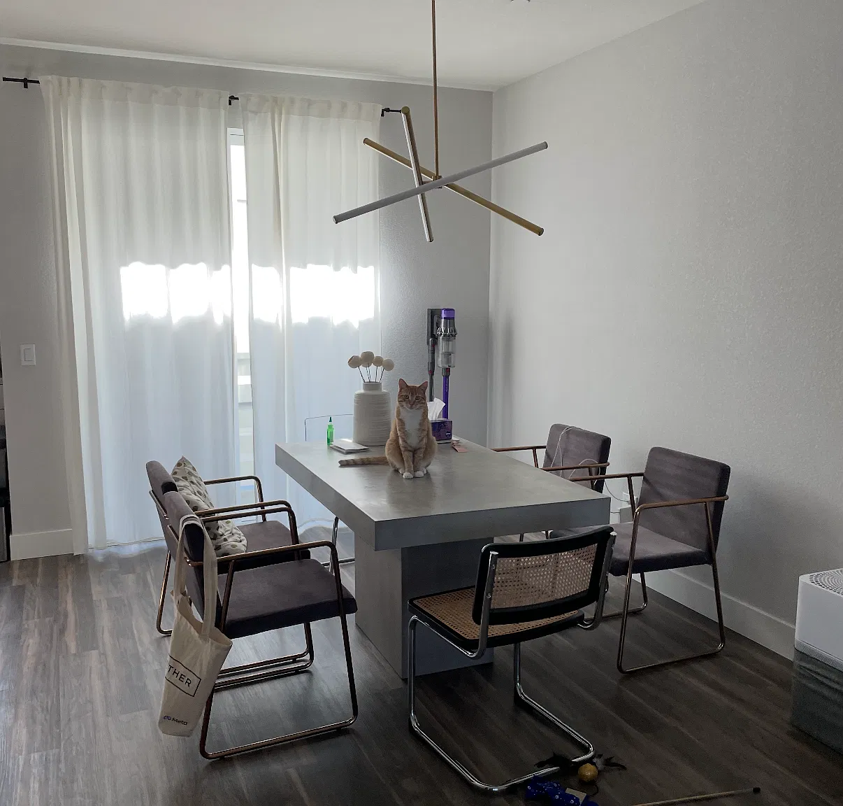 408 Santo Domingo Ter — Photo 4