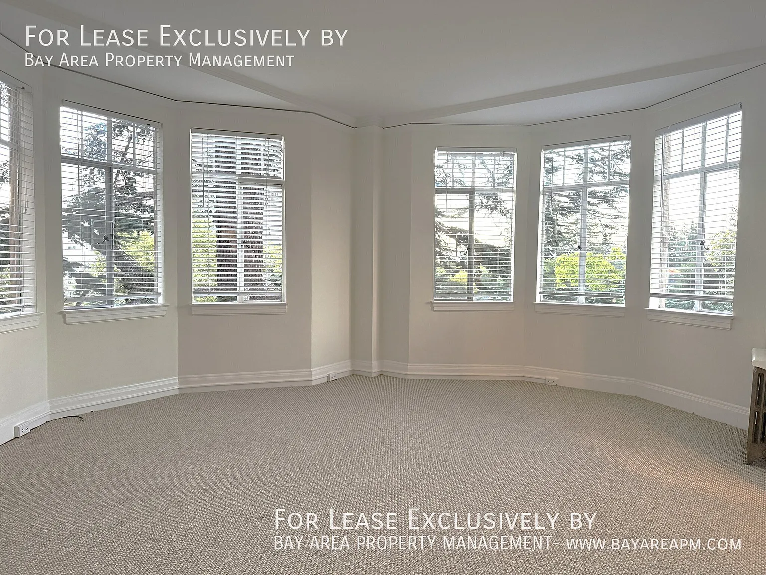 Bright Updated Studio in Downtown Palo Alto Staller Court — Photo 2