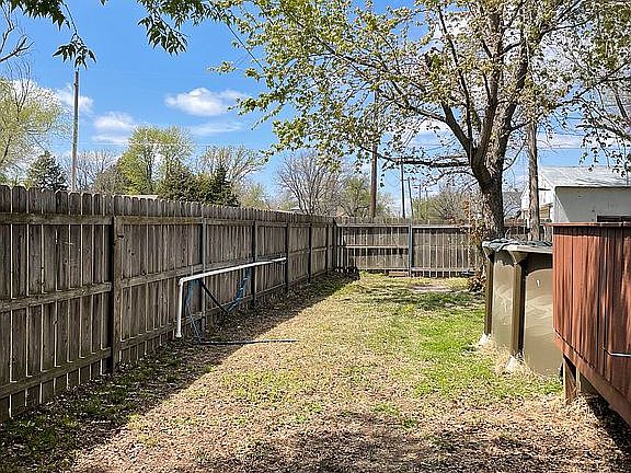 Back yard 