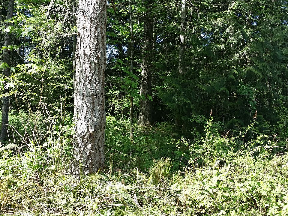 1st image of 3414.X.XX 38th Ave NW